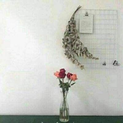火箭足球德比手机版下载