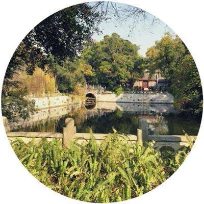 疾速酷跑手机版下载