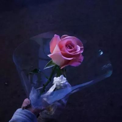 灵魂摆渡劫后余生游戏下载